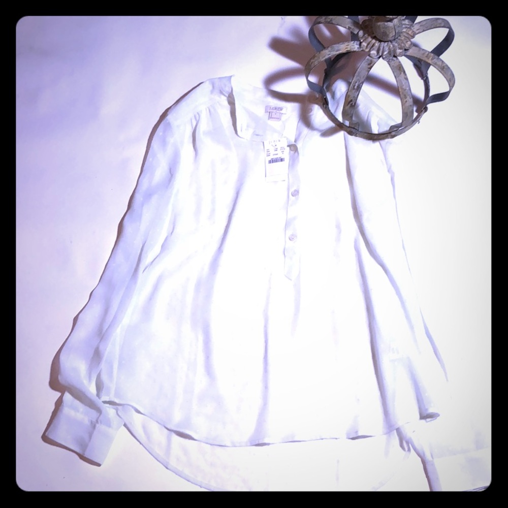 J. Crew Sheer White Polka Dot Blouse S